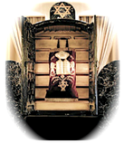 Torah in Ark